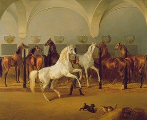 Le Scuderie a Babolna, 1849 da Otto Stotz